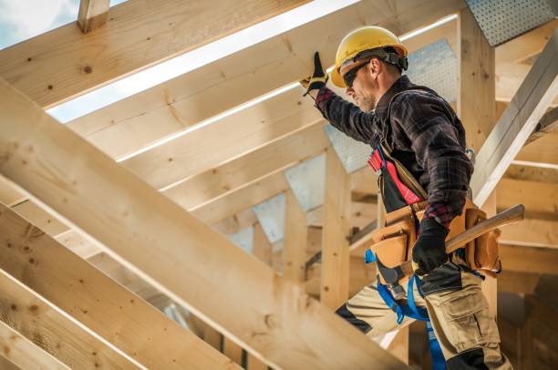 Best Roof Gutter Cleaning  in Panhandle, TX